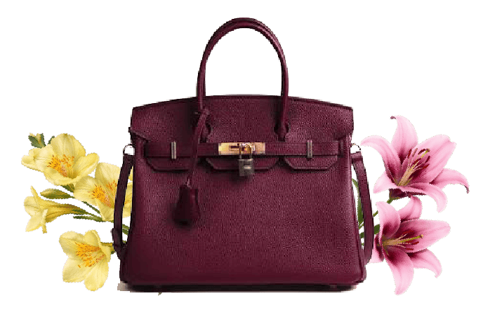 Brands - Cartera